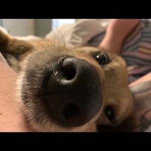 Meet your Posher, Ryan